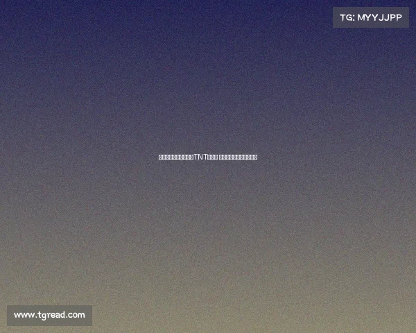 贝尔接替费迪南德担任TNT解说员 主播下赛季英超欧冠赛事